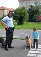 /album/fotogaleria-navsteva-mestskych-policajtov-psovodov1/aha-ja-sa-nebojim-2-jpg1/